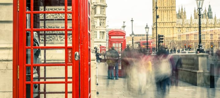 Learn how Little Tiger Consultancy can help you 